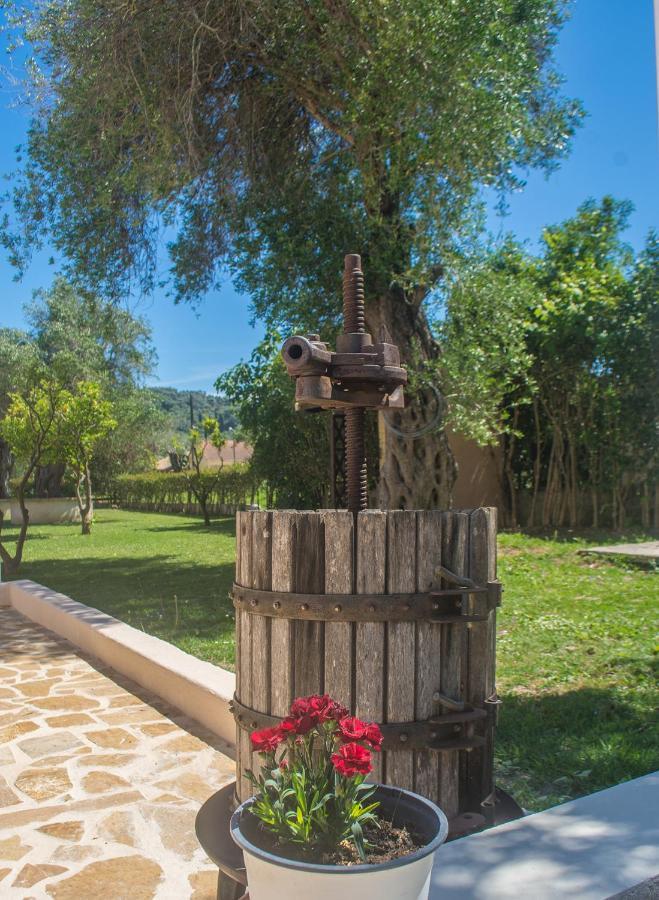 Apartahotel Corfu Palmar 3*